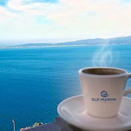 Blue Mudanya Hotel 4*