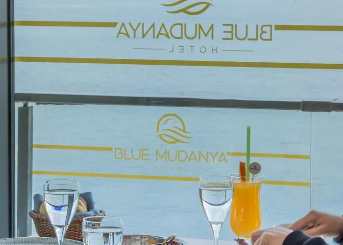 Blue Mudanya Hotel 4*