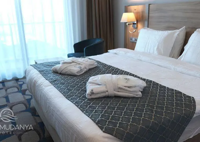 Blue Mudanya