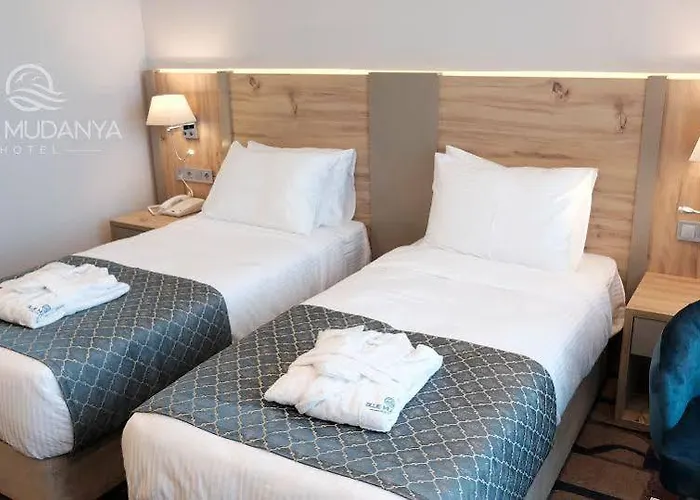 Blue Mudanya 4* Bursa