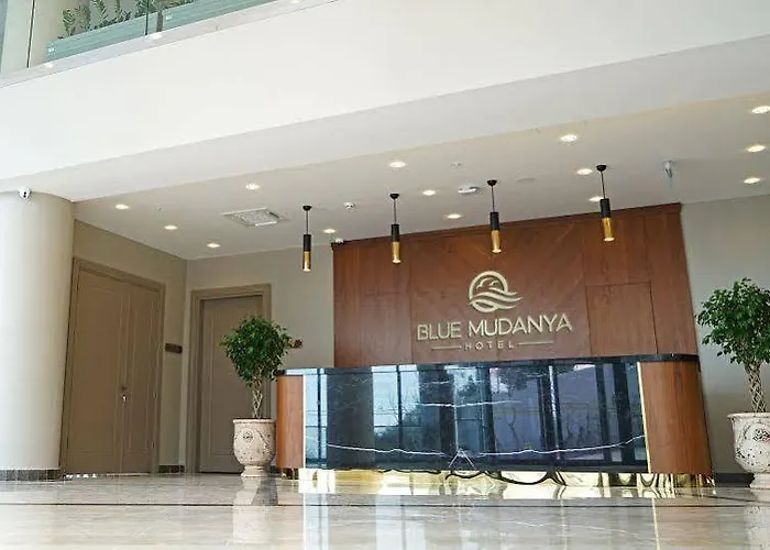 Ξενοδοχείο Blue Mudanya 4*
