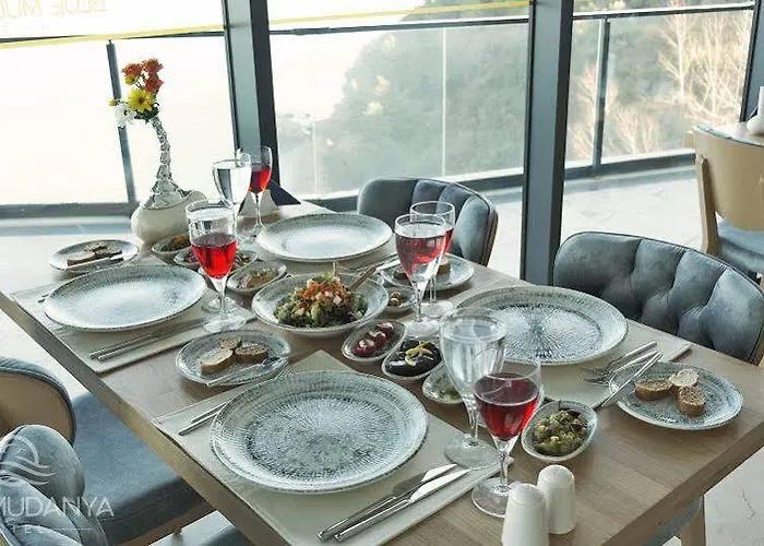 Ξενοδοχείο Blue Mudanya 4*